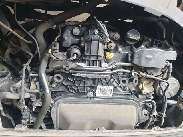 UFWA Ford