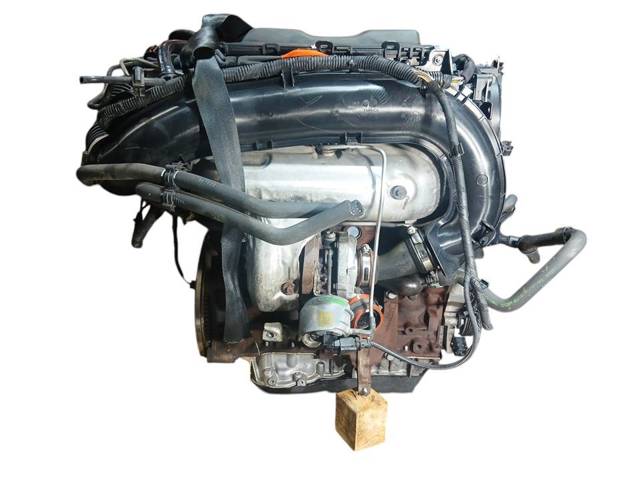 UFWA Ford