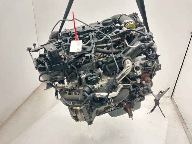UGCB Ford