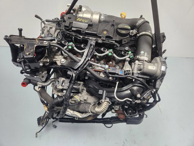UGJC Ford