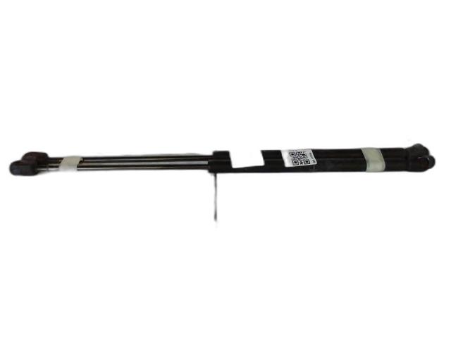 Amortecedor da capota XR847319 JAGUAR