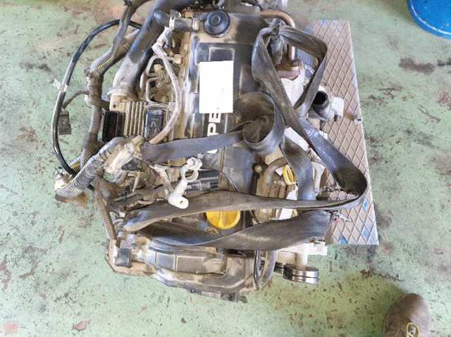 Y17DT Opel
