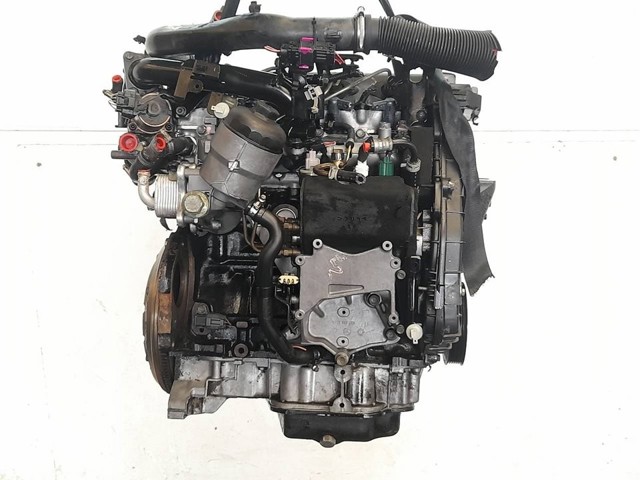 Y17DT Opel