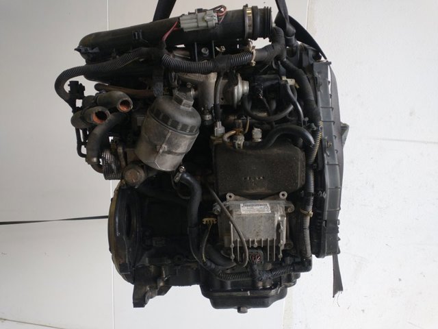 Y17DTL Opel