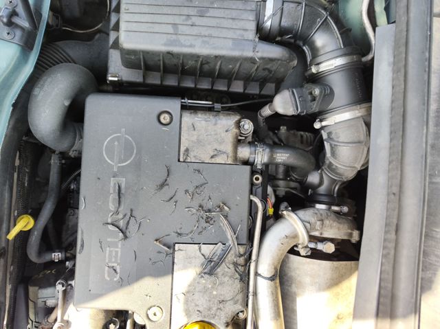 Y20DTH Opel