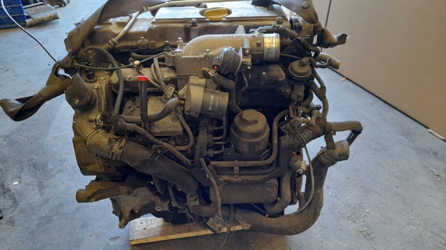 Y22DTR Opel