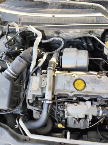 Y22DTR Opel