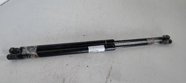 Amortecedor de tampa de porta-malas (de 3ª/5ª porta traseira) Ford Explorer  U2 ao melhor preço