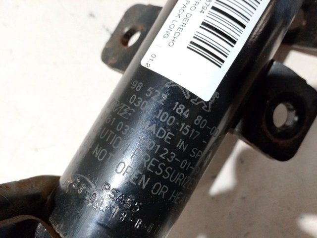 Compre 9852218480 Peugeot/Citroen Amortecedor dianteiro