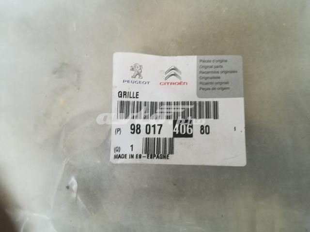 9801740680 Peugeot/Citroen 