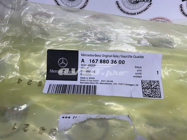 Gozno da capota direito A1678803600 Mercedes