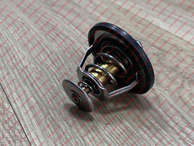 1023779300 BYD Termostato