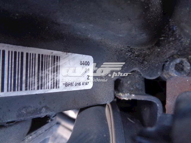 BFM VAG Motor montado
