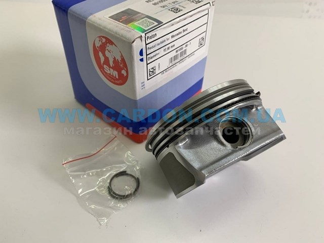 Compre 801055001 SM Pistão do kit para 1 cilindro, STD