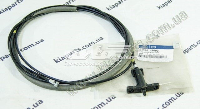 816103X000 Hyundai/Kia Tampa de alcapão do teto