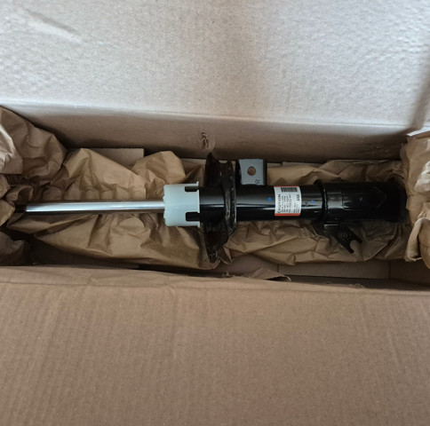Compre AST84751 Ford Amortecedor dianteiro esquerdo