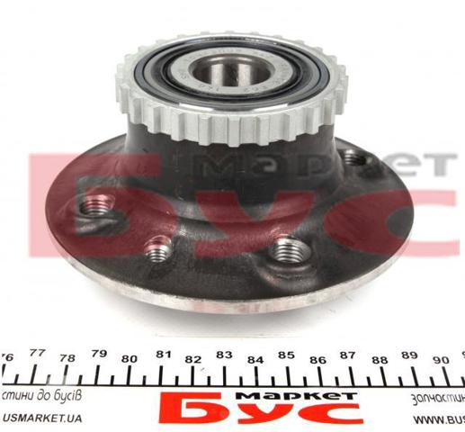Cubo traseiro TGB12095S42 SNR