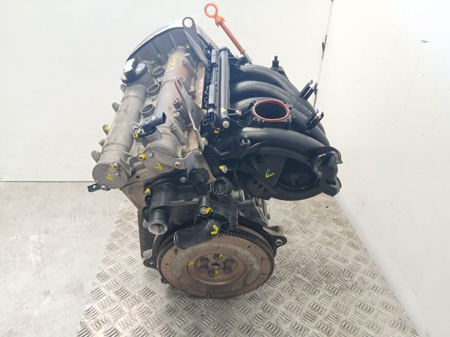 BXW VAG Motor montado