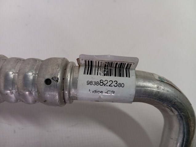 Compre 9838822380 Peugeot/Citroen 
