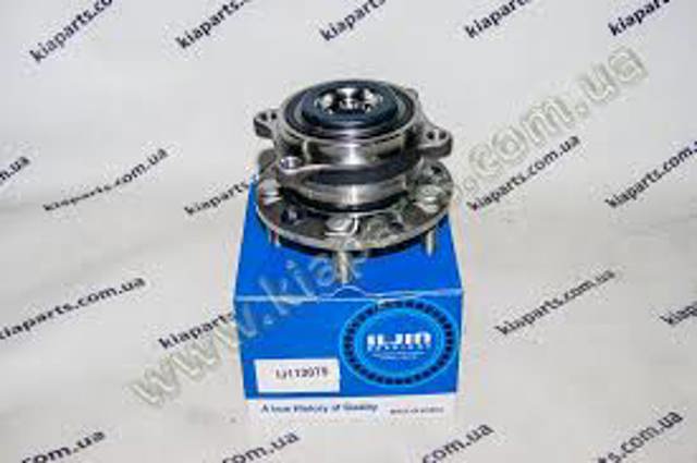 Cubo dianteiro Iljin IJ113079