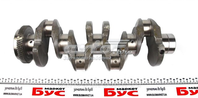 Cambota de motor MTS1204 Motus