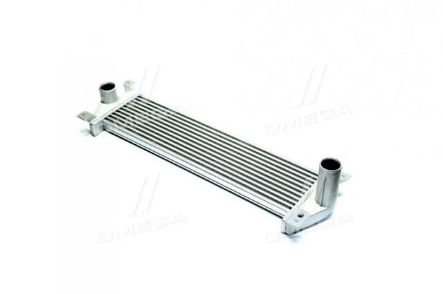 TP1596651 Tempest Radiador de intercooler