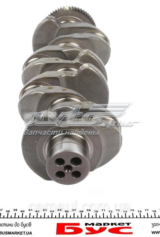 Cambota de motor MTS1204 Motus