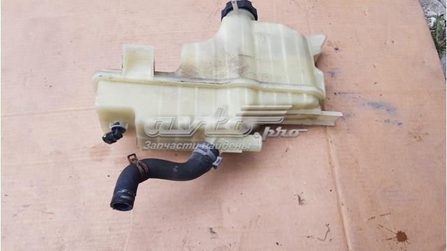 Tanque de expansão do sistema de esfriamento Tesla Model S  5YJS