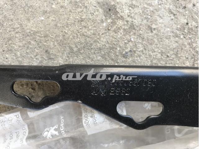 9650867080 Peugeot/Citroen 