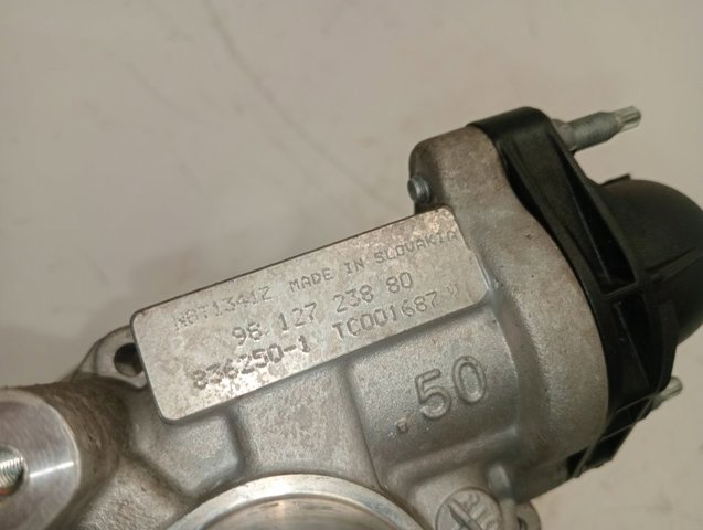 9812723880 Peugeot/Citroen Turbina