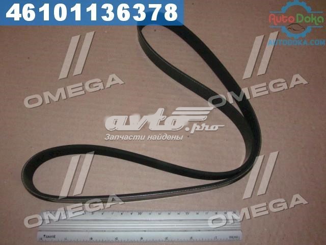 Correia dos conjuntos de transmissão 6PK1059 Dayco