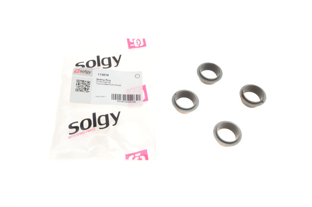 113018 Solgy Kit de reparação do injetor