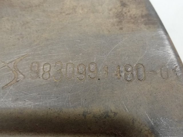 9806779480 Peugeot/Citroen Proteção do freio de disco dianteiro direito