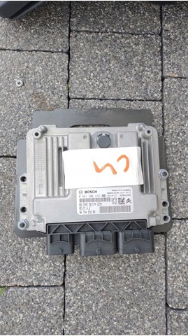 9675495080 Peugeot/Citroen 