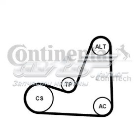 Correia dos conjuntos de transmissão, kit 5PK1200K1 Continental/Siemens