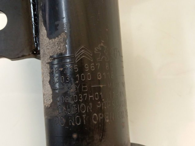Compre 9821596780 Peugeot/Citroen Amortecedor dianteiro
