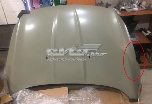 Capota PFD20177A Signeda