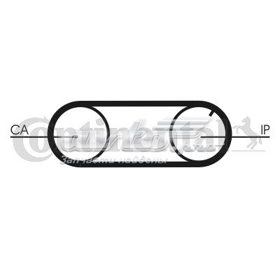 Compre CT641 Continental/Siemens Correia da Bomba de Combustível de Pressão Alta