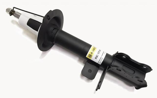 Compre RS317140 Raiso Amortecedor traseiro direito