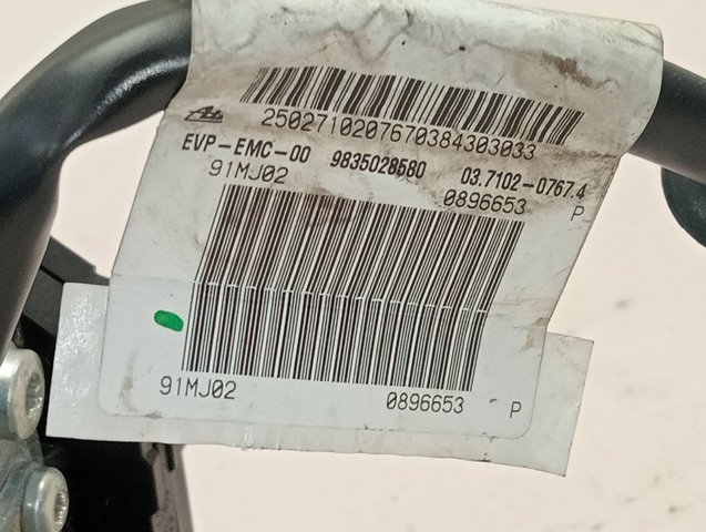 Bomba a vácuo 9835028580 Peugeot/Citroen