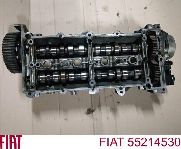 Compre 55214530 Opel Cama da árvore distribuidora