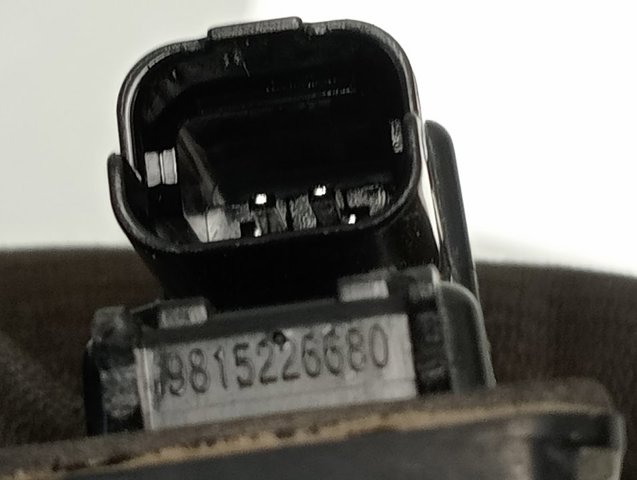 Lanterna da luz de fundo de matrícula traseira 9815226680 Peugeot/Citroen