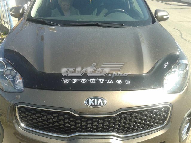KA51 VIP Defletor da capota