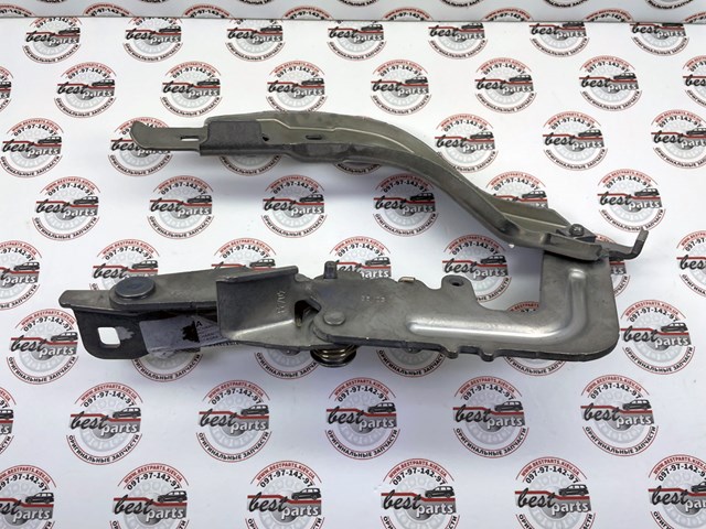 Compre A2478806901 Mercedes Gozno da capota esquerdo
