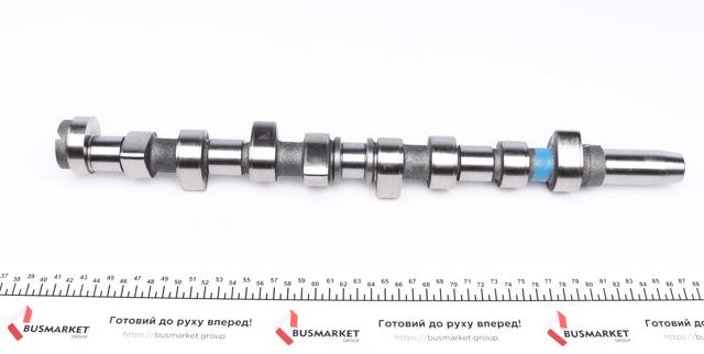 669851 AMC Árvore distribuidora de motor