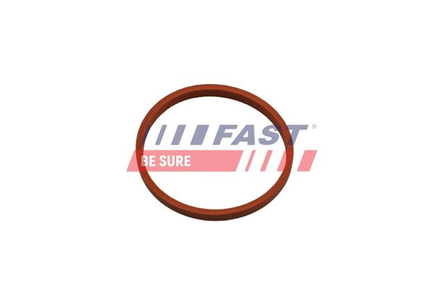 FT48932 Fast Anel de vedação (vedante) de cano derivado de intercooler