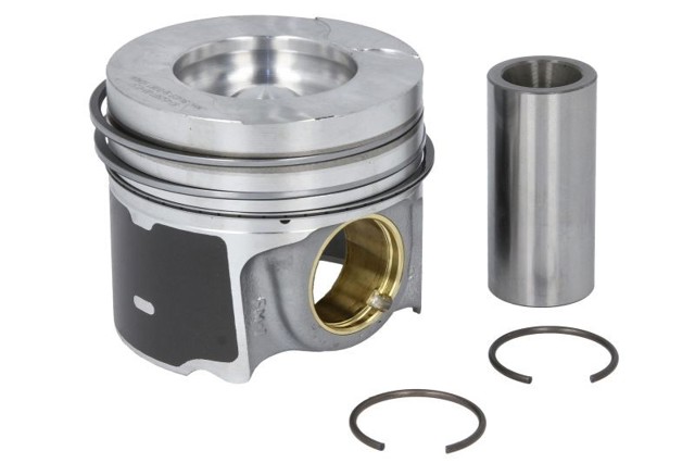  013PI00156002 Mahle Original
