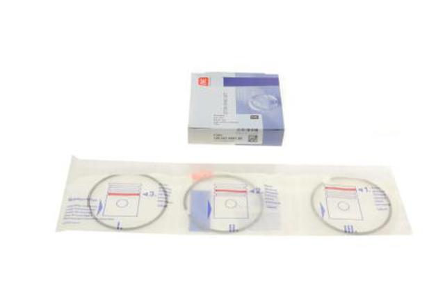 Compre 120021008100 NE/NPR Kit de anéis de pistão de motor, STD.