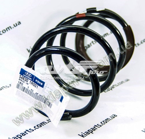 546301R001 Hyundai/Kia Mola dianteira