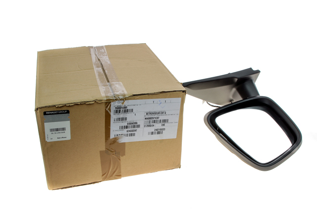 Caixa do espelho de retrovisão esquerdo 963029484R Renault (RVI)